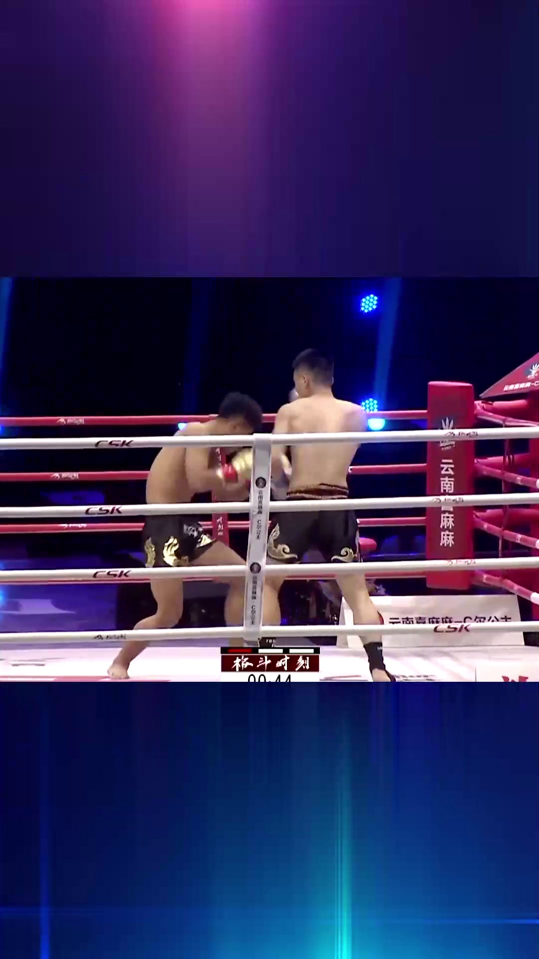 kaiyun-河套山猫队爆冷海滨雄鲨队，击剑总决赛上演耐力碾压对手！的简单介绍