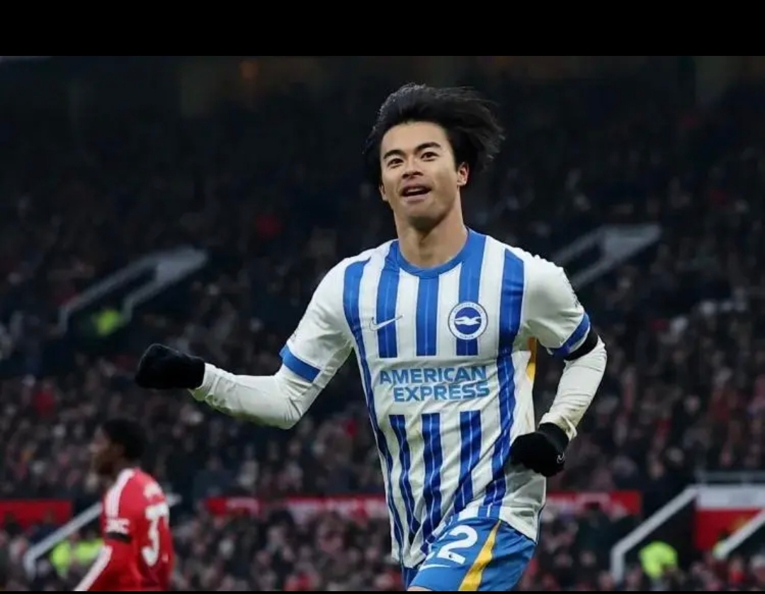 开云官网-足球比赛布莱顿最新消息