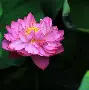 base码表 base码表